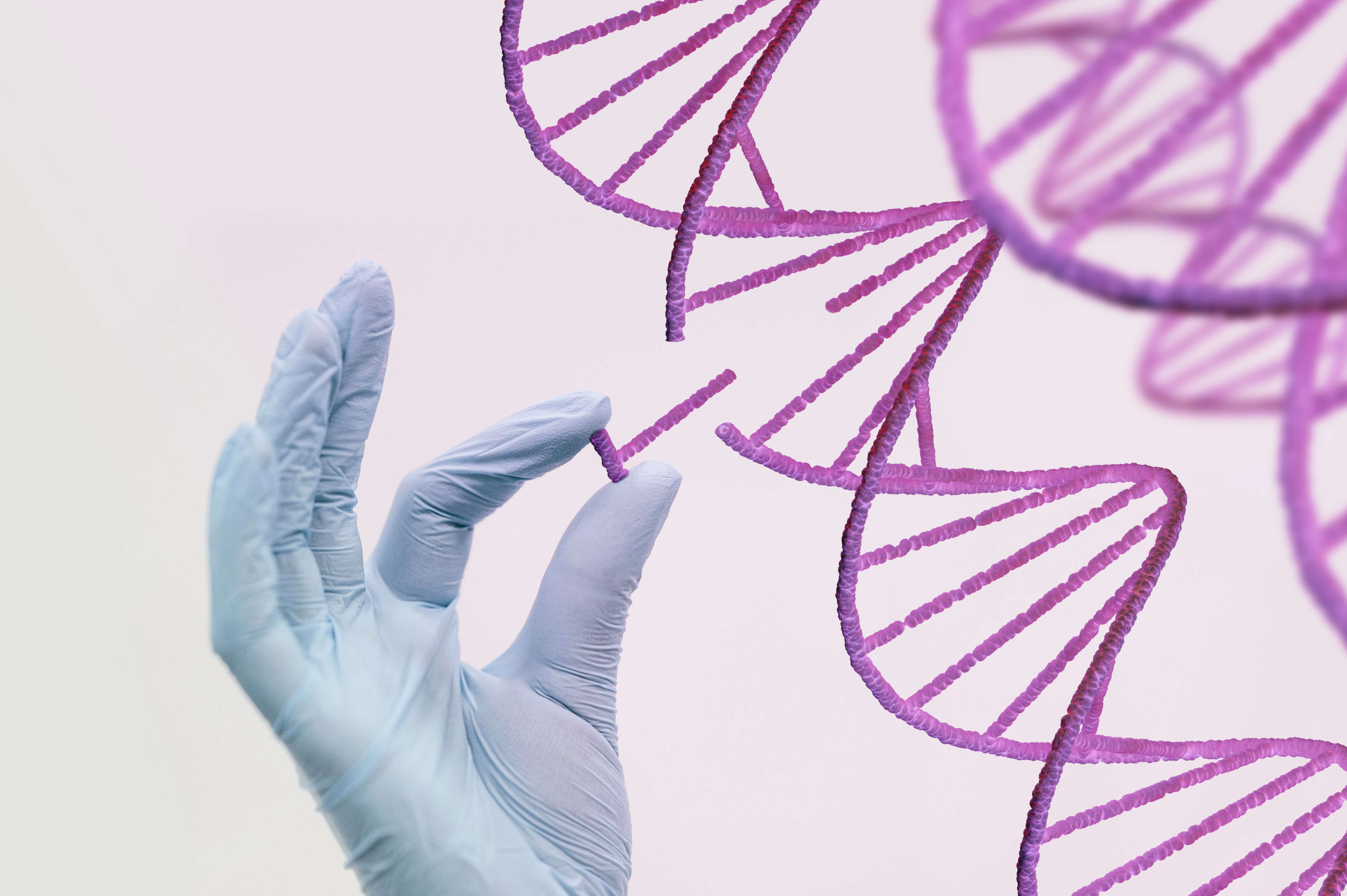 Explore como manter o equilíbrio hormonal pode influenciar um envelhecimento saudável e realçar sua beleza natural. Entenda as estratégias para harmonizar seus hormônios e desfrutar de bem-estar e aparência radiante.