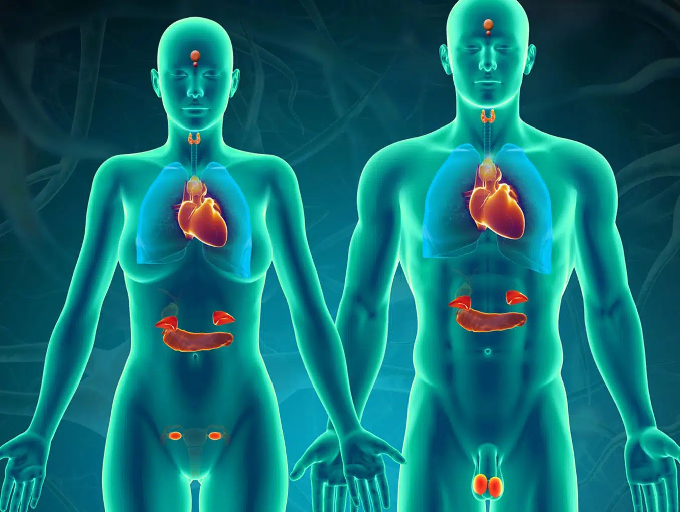 Explore como o Di-Indol Metano (DIM) contribui para a regulação hormonal, ajudando no equilíbrio hormonal e na promoção de uma saúde hormonal ótima.