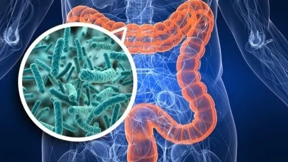 Não Consigo Emagrecer: Explore como a microbiota intestinal pode influenciar a dificuldade em emagrecer e quais estratégias podem ajudar a modificar essa condição para uma perda de peso eficaz.