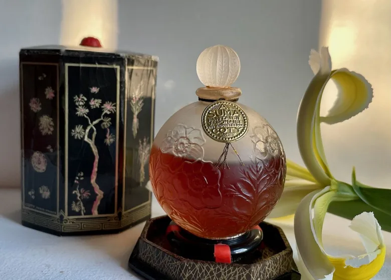Os melhores perfumes de 2026 segundo o Byrdie Beauty Awards: o que eles revelam sobre o gosto atual
